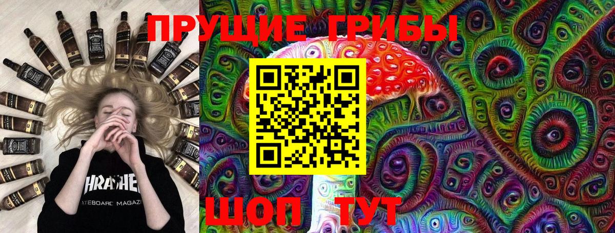 Нальчик  Псилоцибиновые грибы MAGIC MUSHROOMS  Вход с VPN 